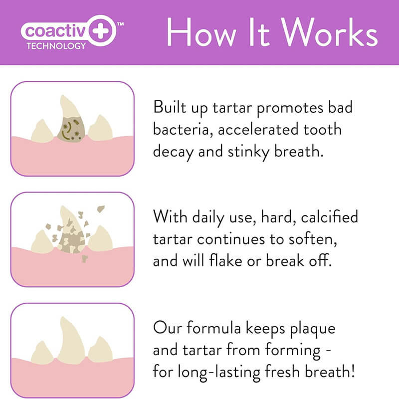 Skout's Honor Everyday Fresh Dental Wipes