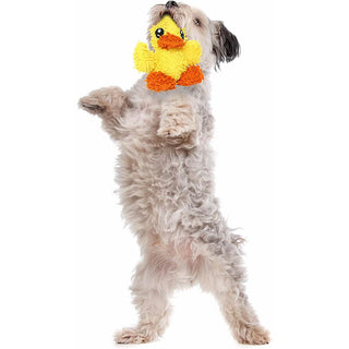 Mighty® Micro Ball Duck