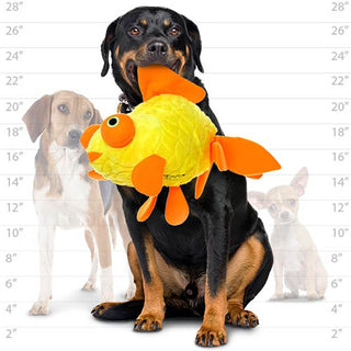 Mighty Ocean Goldfish