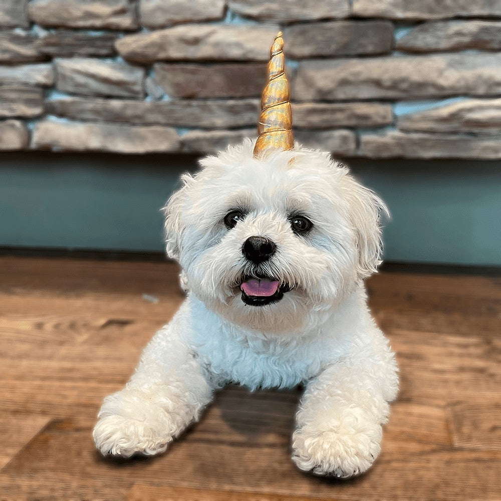 Mirage Pet Unicorn Horn for Pets