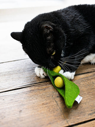 MODERNBEAST Pea Pod Wool Toy