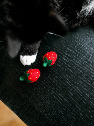 MODERNBEAST Strawberry Wool Toy - Small 2pk