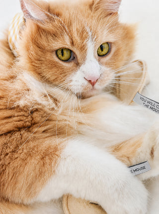 MODERNBEAST Fortune Cookie Catnip Toy