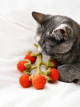 MODERNBEAST Cherry Tomato Vine Wool Toy
