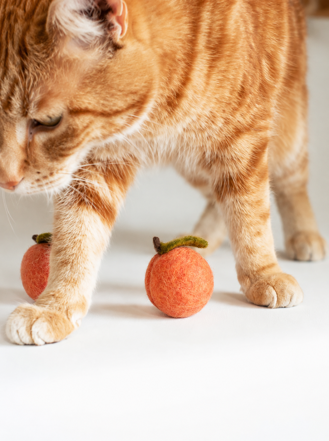 MODERNBEAST Peach Wool Toy - Small 2pk