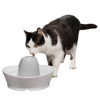 PetSafe Creekside Ceramic Fountain