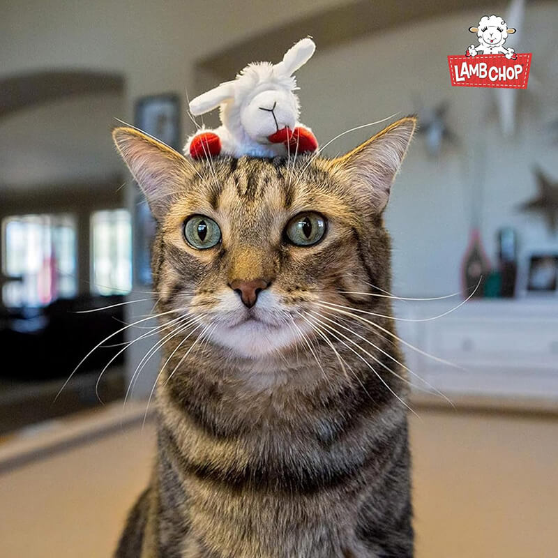 Multipet Cat Lamb Chop