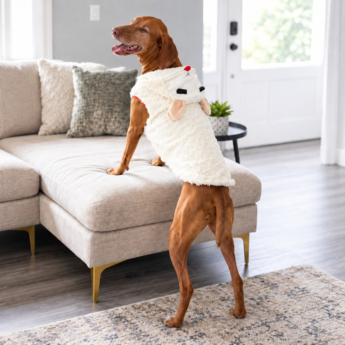 Mulitpet Lamb Chop Pet Costume