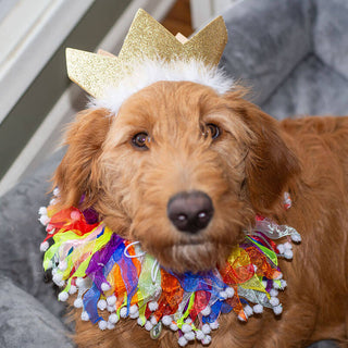 Multipet Party Crown