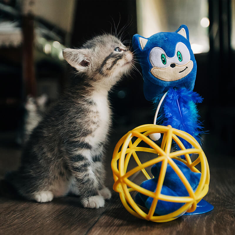 Multipet Sega Sonic Swatter