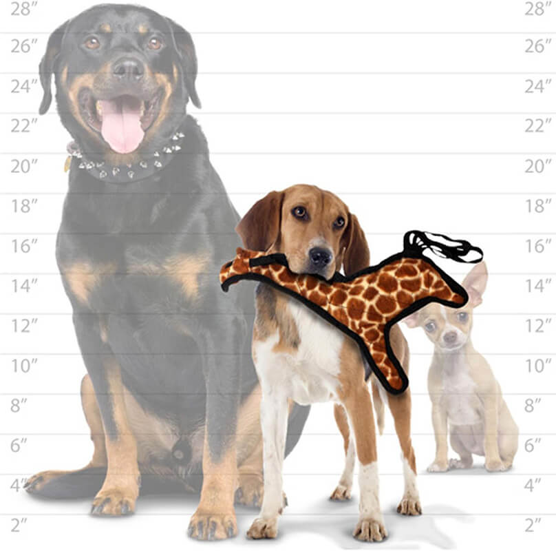 Tuffy® Zoo Giraffe