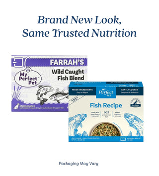 My Perfect Pet Fish Recipe