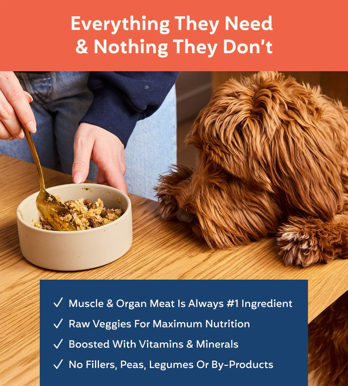 My Perfect Pet Gently Cooked Turkey & Wild Salmon Recipe, 4 lbs