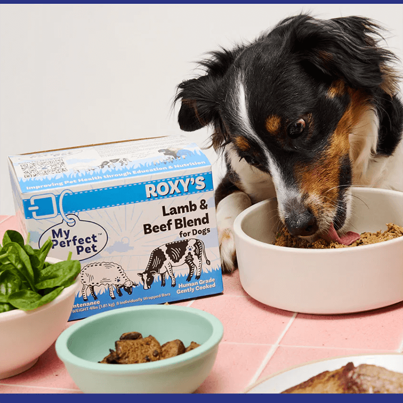 My Perfect Pet Roxy's Lamb & Beef 4lbs