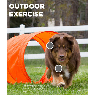 Outward Hound Zip and Zoom Agility Kit