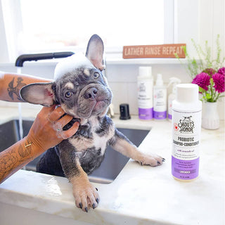 Skout's Honor Probiotic Lavender Shampoo + Conditioner