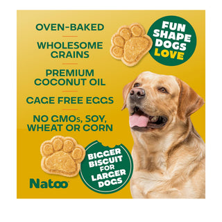 Natoo Crunchy Biscuits Coconut & Mango BIG Bites