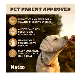 Natoo Crunchy Biscuits Peanut Butter