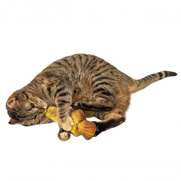 Natural Cat Toy Silver Vine Arowana Cuddle Fish