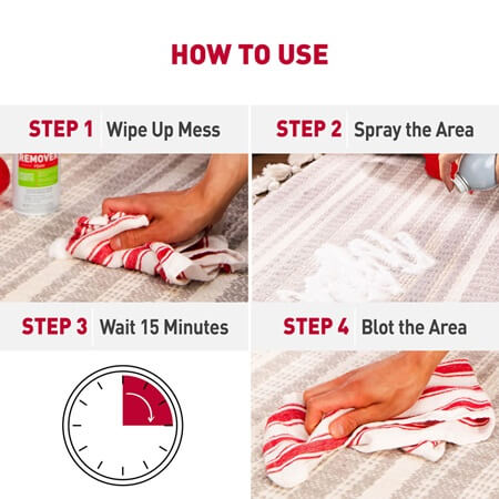 Nature's Miracle Stain & Odor Remover Foam