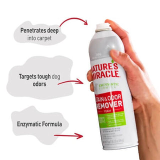 Nature's Miracle Stain & Odor Remover Foam