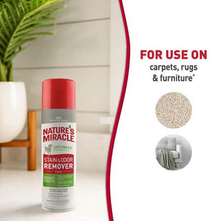 Nature's Miracle Stain & Odor Remover Foam