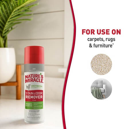 Nature's Miracle Stain & Odor Remover Foam