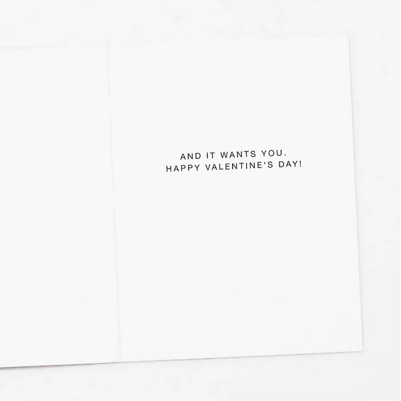 Apartment 2 Cards Valentines Day Card - Meowentine