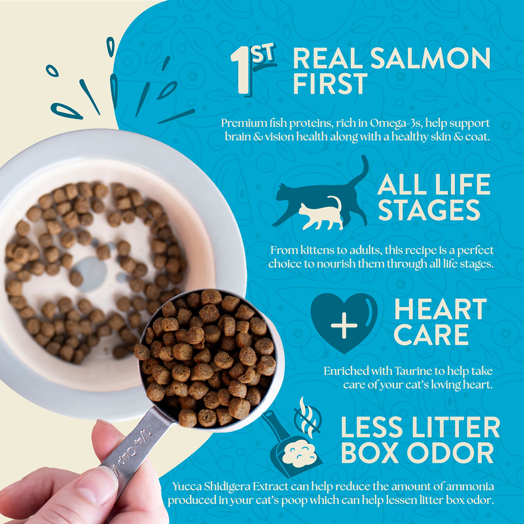 Earthborn Feline Wild Sea Catch