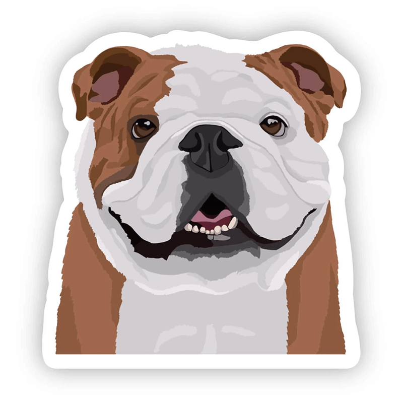 Happy Sploot Designs Vinyl Sticker - English Bulldog
