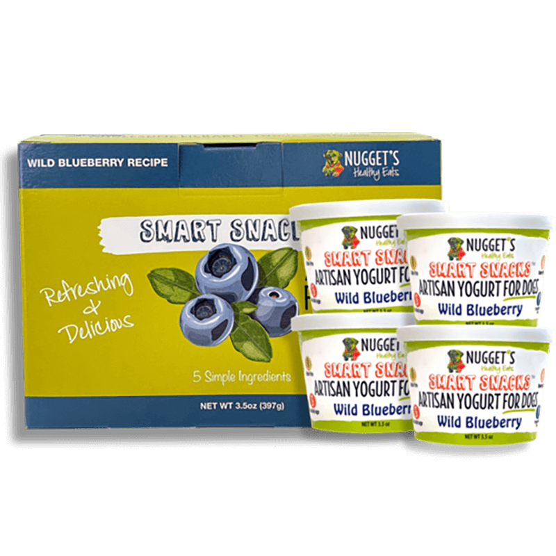 Nugget's Smart Snacks Artisan Frozen Yogurt Wild Blueberry