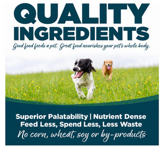 NutriSource Adult Chicken & Rice Small Bites
