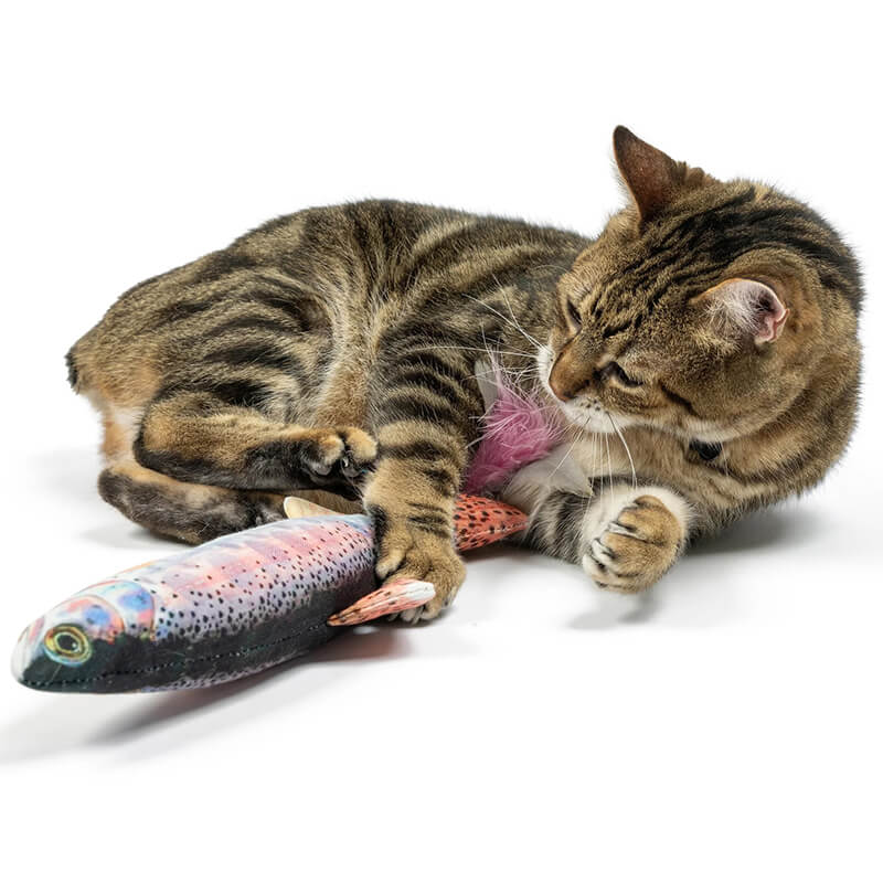 Huxley & Kent Cat Rainbow Trout Kicker