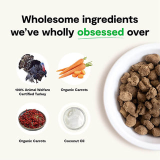 Open Farm Freeze Dried Raw Patties Homestead Turkey