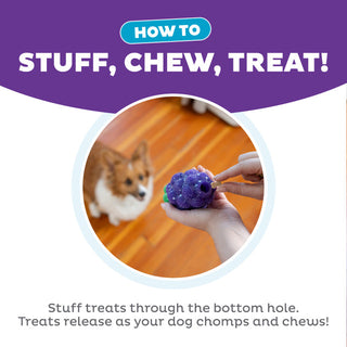 Planet Dog Grape Chew Toy
