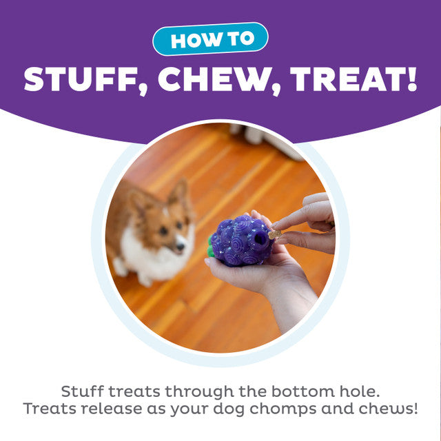 Planet Dog Grape Chew Toy