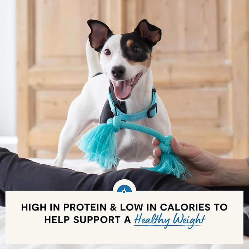 Open Farm Healthy Weight Chicken & Whitefish