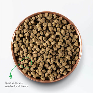 Open Farm Grain-Free Farmer's Table Pork Grain-Free