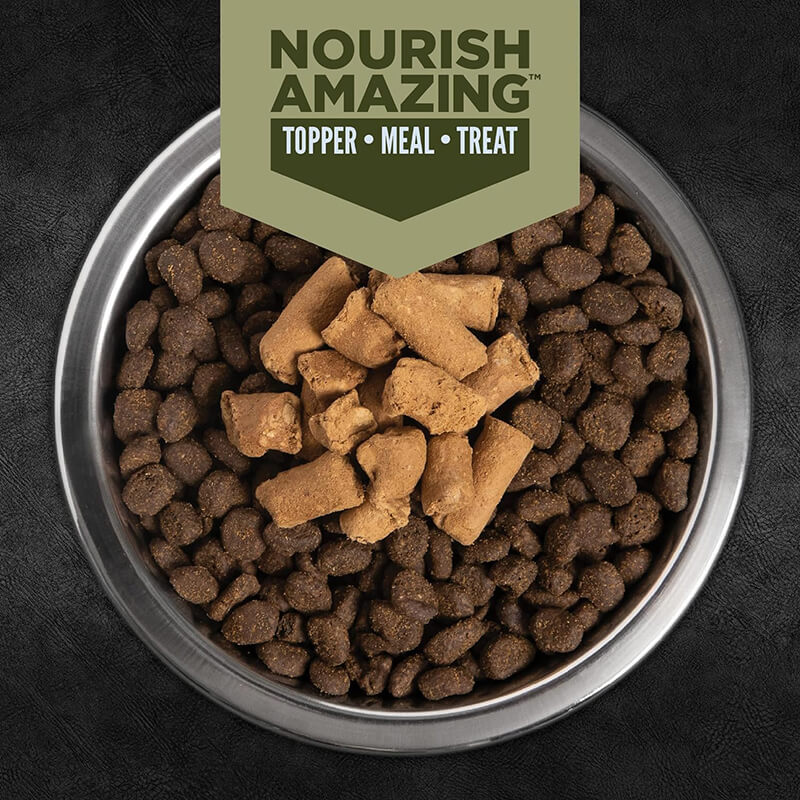 Orijen Freeze-Dried Epic Bites Tundra