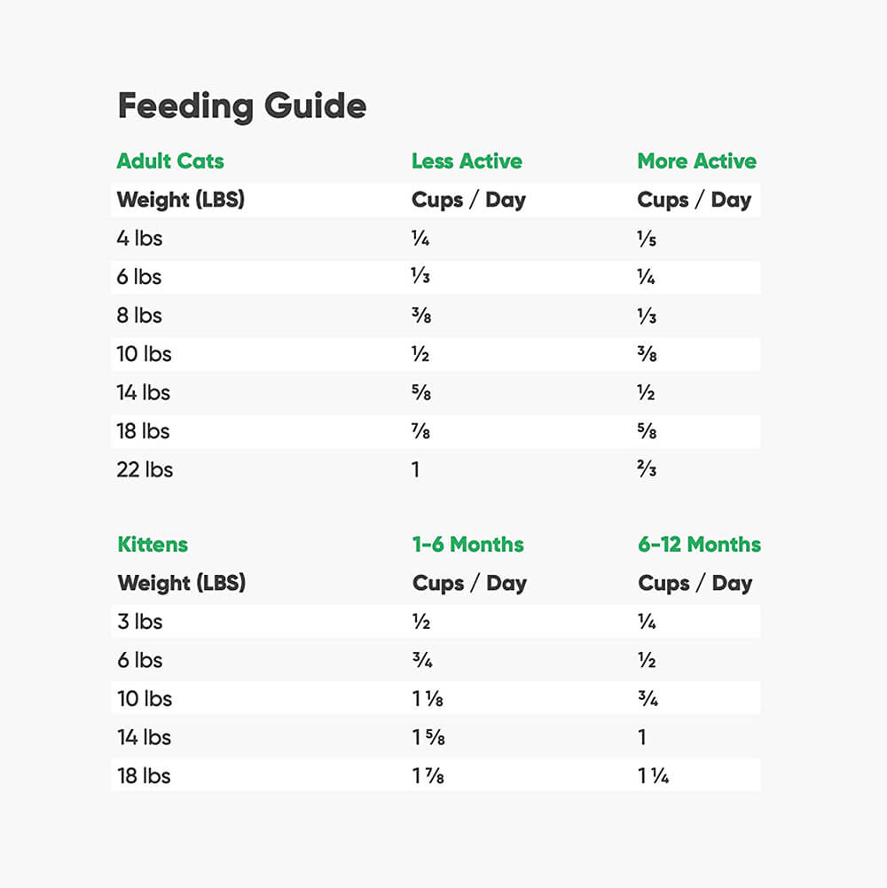 Open Farm Cat Wild Salmon