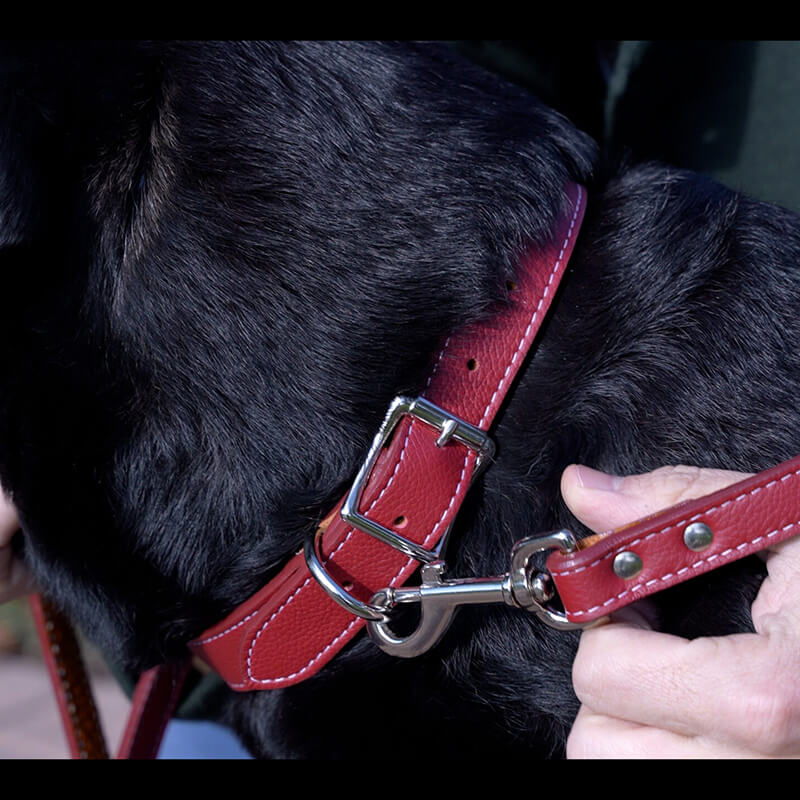 Auburn Leathercrafters Tuscany Italian Leather Collar