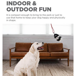 Outward Hound Tail Teaser Dog Wand II
