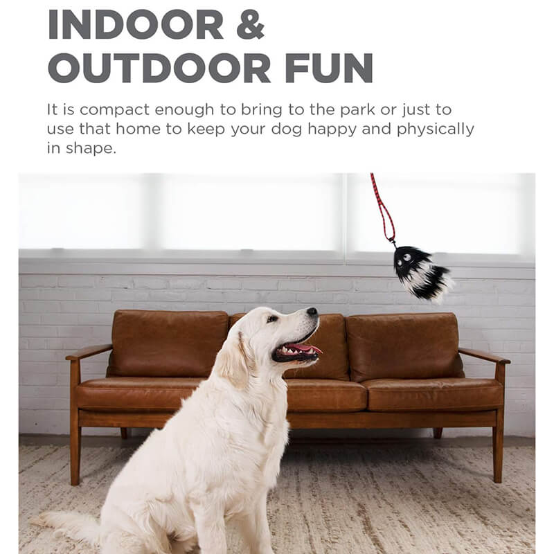 Outward Hound Tail Teaser Dog Wand II