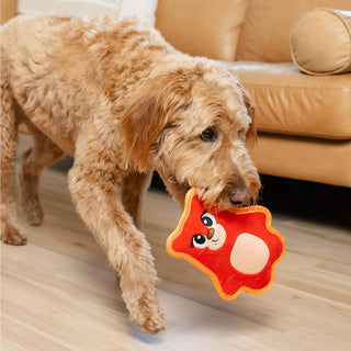 Outward Hound Tough Skinz Bear