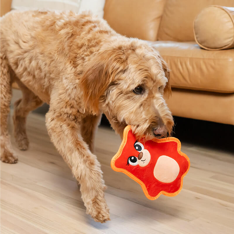 Outward Hound Tough Skinz Bear