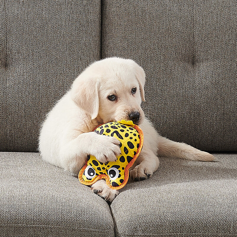 Outward Hound Xtreme Seamz Dart Frog