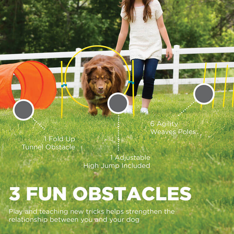 Outward Hound Zip and Zoom Agility Kit