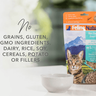 Feline Natural Freeze Dried Beef Feast