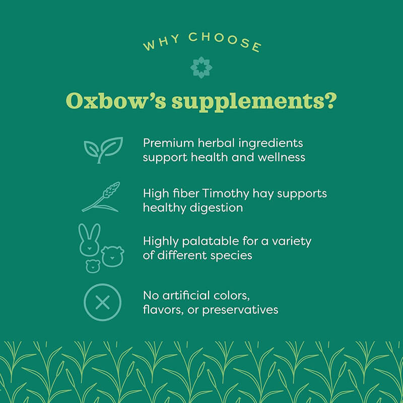 Oxbow Digestive Support Supplement
