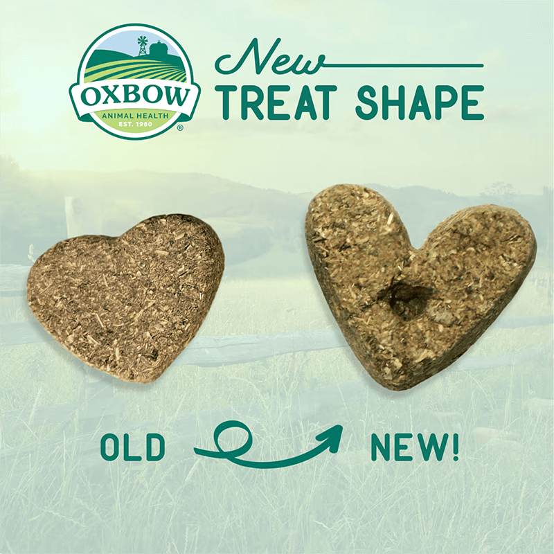 Oxbow Simple Rewards Baked Treat Bell Pepper
